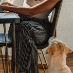 The Dog House Megaways слот игра с бонусными функциями