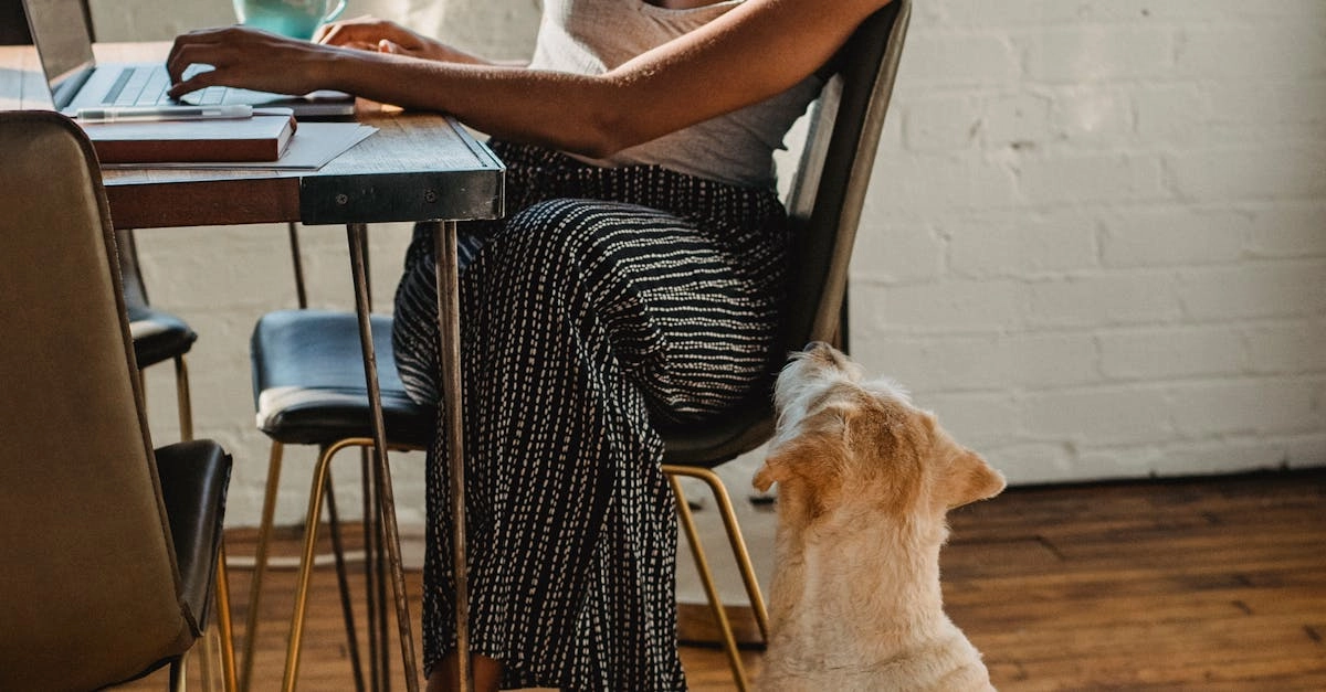 The Dog House Megaways слот игра с бонусными функциями